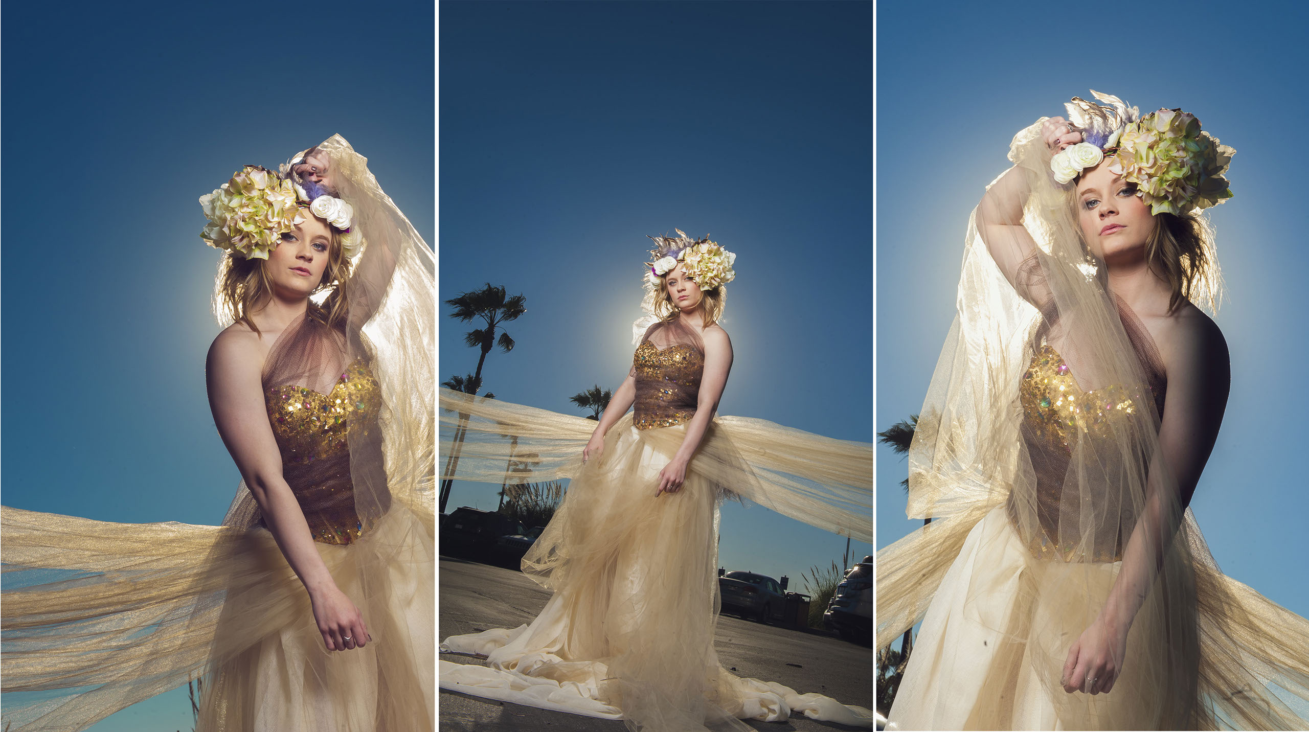 St. Ursula Academy, St. John's Jesuit High School, Notre Dame Academy,&nbsp; St. Francis de Sales High School, Ottawa Hills, Perrysburg, Sylvania